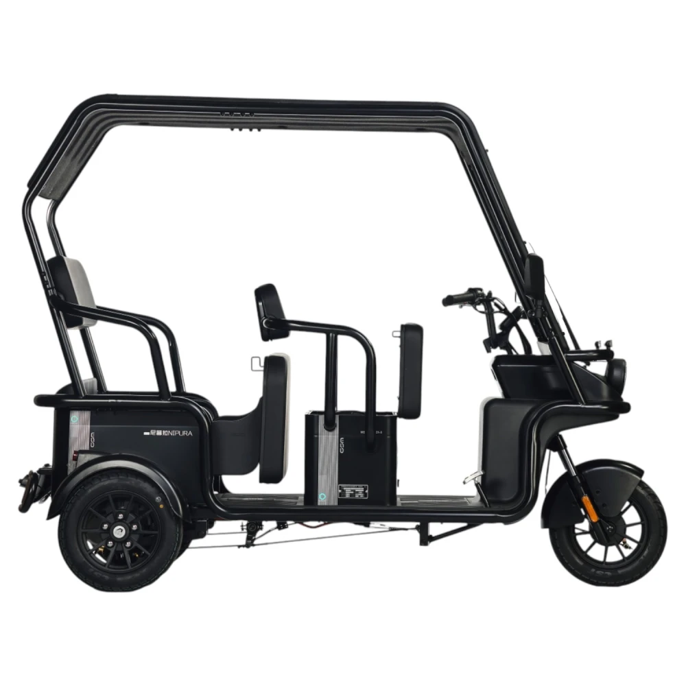 Электротрицикл Wanshida NIPLA 570 60V 1000Вт Красный 4