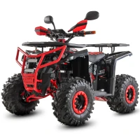 Электроквадроцикл WHITE SIBERIA SNEG F 3000W