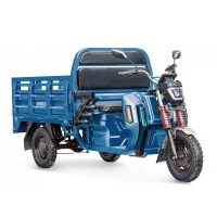 Грузовой электротрицикл Rutrike Антей Pro 1500 60V1200W синий